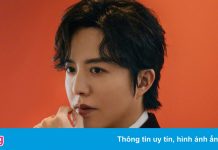 Lý Vân Địch bị bắt vì mua dâm