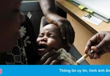 WHO phê duyệt vaccine sốt rét đầu tiên trên thế giới