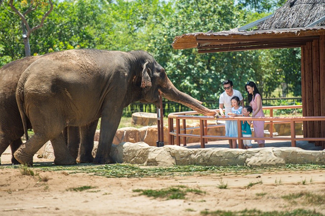 Một ngày vào vai “nhà động vật học” giữa “thiên đường hoang dã” Vinpearl Safari - 1