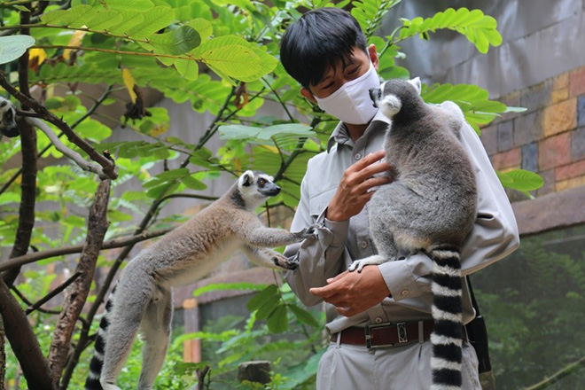 Một ngày vào vai “nhà động vật học” giữa “thiên đường hoang dã” Vinpearl Safari - 2