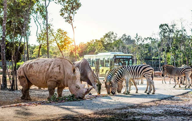 Một ngày vào vai “nhà động vật học” giữa “thiên đường hoang dã” Vinpearl Safari - 5