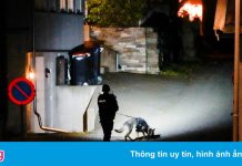 5 người bị bắn chết bằng cung tên trong thảm kịch bí ẩn ở Na Uy