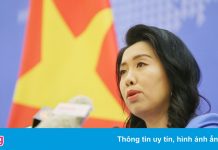 Bộ Ngoại giao lên tiếng về phim Trung Quốc xuyên tạc lịch sử Việt Nam