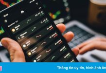 Bitcoin tăng giá nhưng nhiều nhà đầu tư Việt không vui