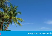 Khách sạn, resort Phú Quốc kiệt quệ