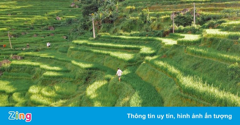 Người trẻ lên kế hoạch cho những chuyến đi sau dịch