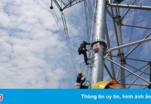 Toyota, nông dân Australia khốn đốn vì khủng hoảng điện Trung Quốc