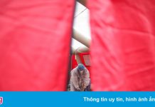 Bên trong ‘mắt bão’ làn sóng Covid-19 mới ở châu Âu