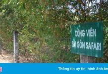 Cử tri đề nghị chuyển dự án Sài Gòn Safari thành khu công nghệ cao