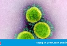 Chuyên gia Trung Quốc cảnh báo về đột biến mới của virus corona