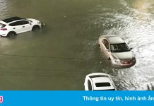 Đường sá ở TP Quảng Ngãi ngập sâu, nhiều ôtô chết máy