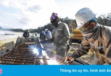 Quảng Ngãi cấp tốc xây kè chắn sóng đối phó với mưa bão