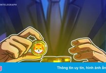 Nhà đầu tư Micheal Burry xem tiền số chó Shiba là vô nghĩa