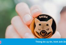Một tài khoản sở hữu lượng coin tỷ USD nhờ mua Shiba Inu