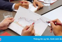 Các quỹ đầu tư chứng khoán liên tục xuất hiện