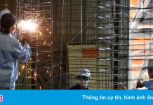 Thủ tướng ban hành chỉ thị khôi phục sản xuất công nghiệp