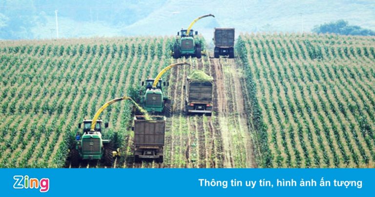 HAGL Agrico lỗ thêm 180 tỷ đồng