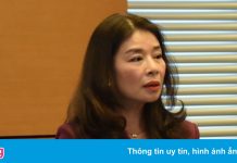 Đại biểu Quốc hội: ‘Nghệ sĩ cần đức trước khi cần tài’