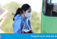 Hơn 200 bà bầu về Hà Tĩnh miễn phí bằng máy bay