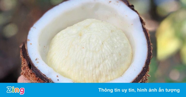 Mộng dừa là gì?