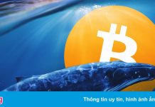 ‘Cá voi Bitcoin’ lớn thứ 3 thế giới vừa chốt lời