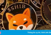 Rót vài trăm USD vào Shiba Inu, nhà đầu tư Việt lãi lớn