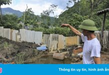 Chưa rõ nguyên nhân ‘hố tử thần’ liên tiếp xuất hiện ở Nghệ An