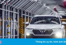 Vingroup lãi trước thuế gần 10.000 tỷ đồng sau 9 tháng