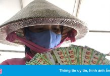 Vé số truyền thống miền Nam dự kiến bán lại ngày 22/10
