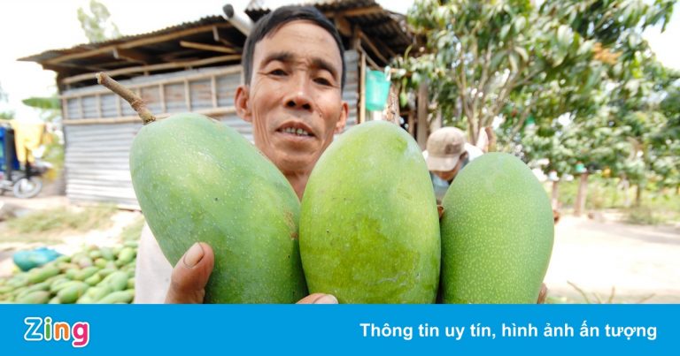 Tái cấu trúc ngành nông nghiệp thế nào?