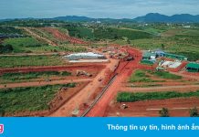 Thủ phủ trà Lâm Đồng bị ‘băm nát’
