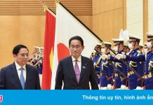 Chuyên gia: Mối quan hệ Việt – Nhật củng cố an ninh, hòa bình khu vực