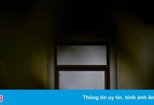 5 triệu người đã chết vì Covid-19, chuyện gì sẽ xảy ra tiếp theo?