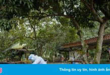 Những nước châu Á ‘lội ngược dòng’ trong cuộc đua tiêm chủng