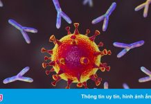 Phát hiện đột phá về kháng thể mới chống Covid-19
