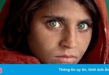 Người trong bức ảnh ‘Afghan Girl’ được sơ tán tới Italy