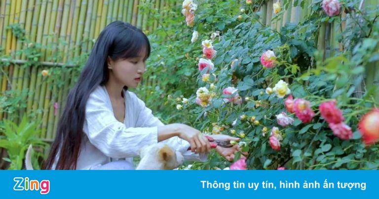 Thế hệ ưu tú của Trung Quốc về quê