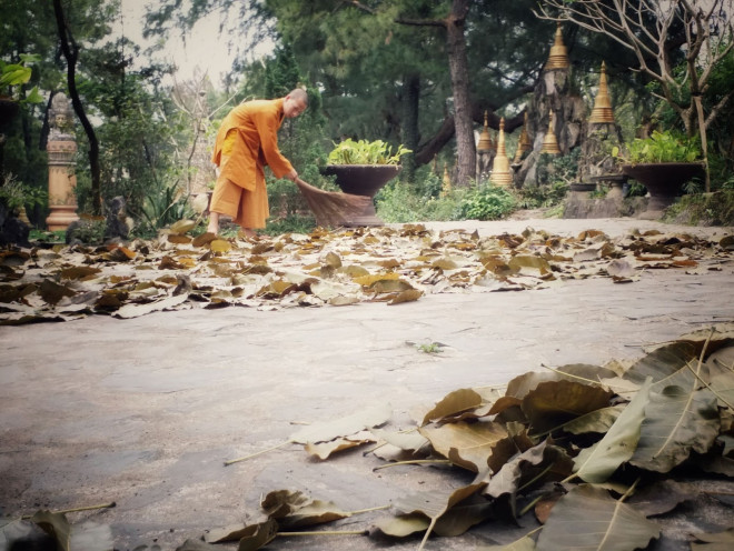 Phút thảnh thơi ở ngôi chùa “vàng” xứ Huế - 8