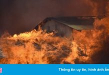 Phát hiện 3 thi thể bị cháy đen ở phố người Hoa tại Solomon