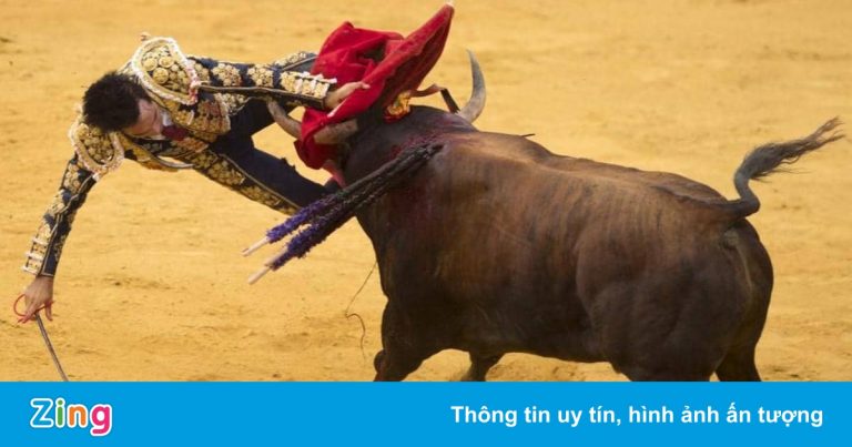 Người đàn ông bị bò húc chết trong lễ hội ở Tây Ban Nha