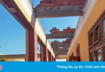 Giám đốc Sở GD&ĐT thu hồi văn bản giới thiệu 3 công ty tư vấn