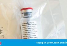 Phát hiện đột biến kháng thuốc Remdesivir ở bệnh nhân Covid-19
