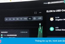 Giá coin lấy cảm hứng từ Elon Musk tăng hơn 41 lần