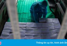 Hà Nội công bố kế hoạch tưởng niệm nạn nhân Covid-19