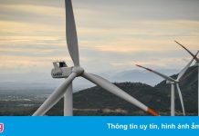 Bộ trưởng Công Thương: Không kéo dài ưu đãi giá FIT cho điện gió