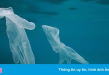 Đại dịch tạo ra 25.900 tấn rác thải cho các đại dương