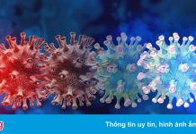 Thêm nhiều nước phát hiện ca nhiễm biến chủng Omicron