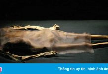 Phát hiện xác ướp bị trói ở Peru