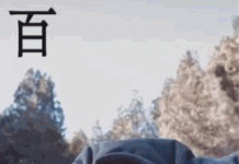 Tiểu hòa thượng Thiếu Lâm Tự gây chú ý tieu hoa thuong Tam Bao anh 5