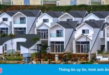 Loạt dự án ở ‘thủ phủ chè’ Bảo Lộc vẫn thi công dù đang bị điều tra